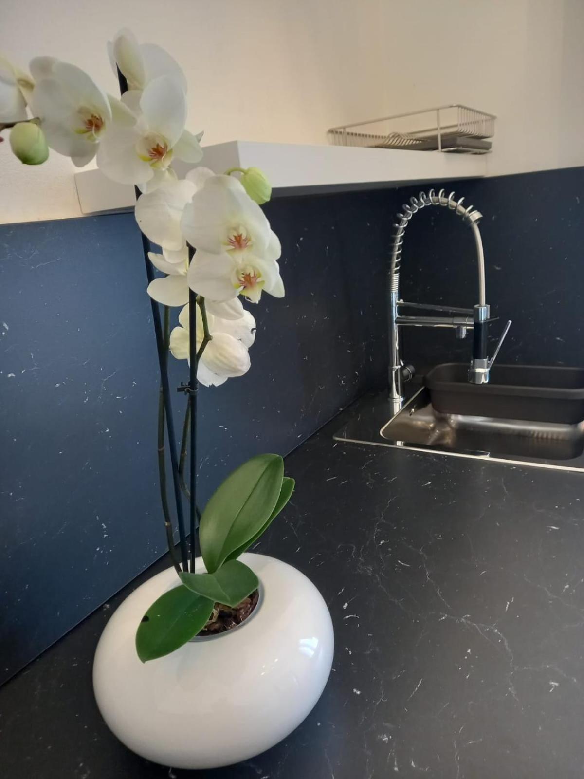 Apartmán Casa Porta Vescovo Verona Exteriér fotografie